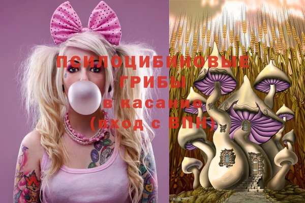 спиды Абинск